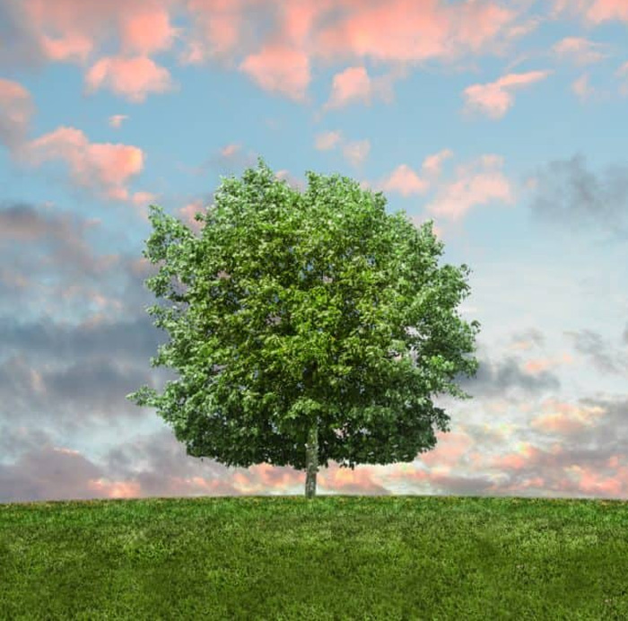 Quality, Health, Safety And Environmental Policy